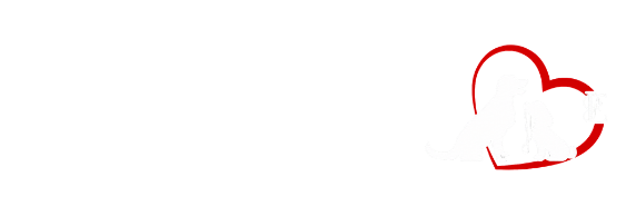 lefa (500 x 100 px) (12)